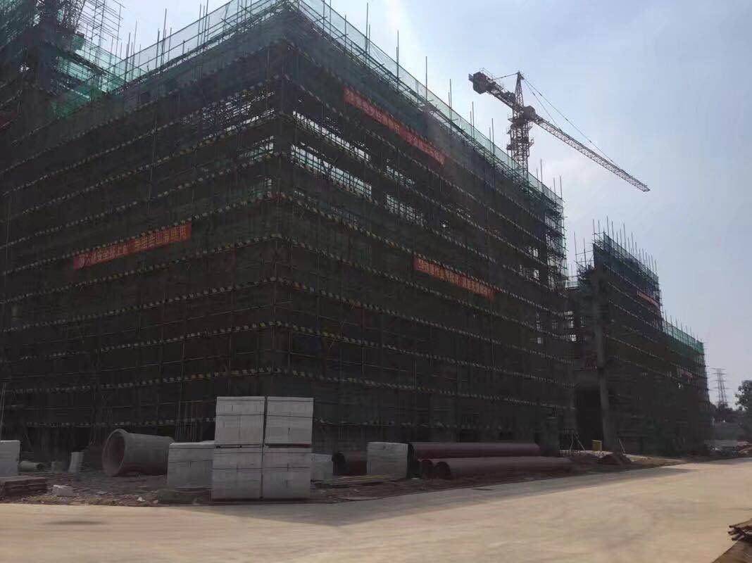 排柵管搭建工程 (5)