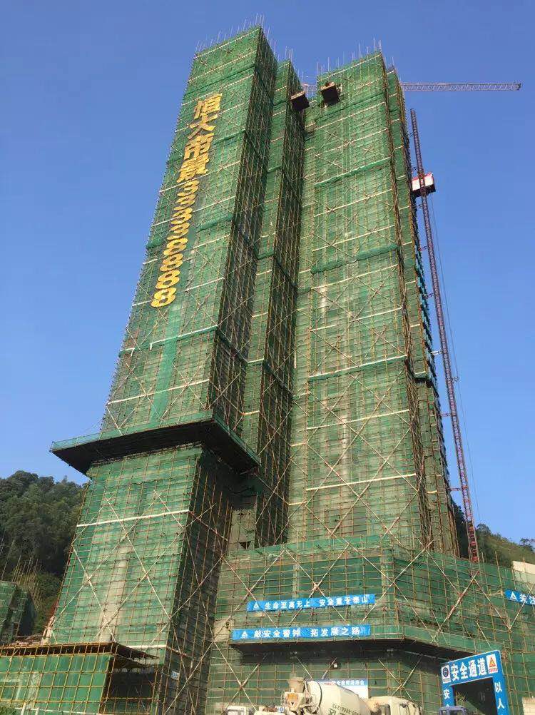 排柵管搭建工程