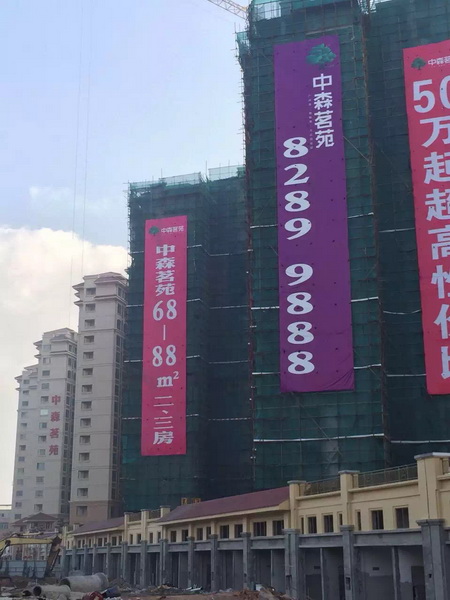 排柵管搭建工程