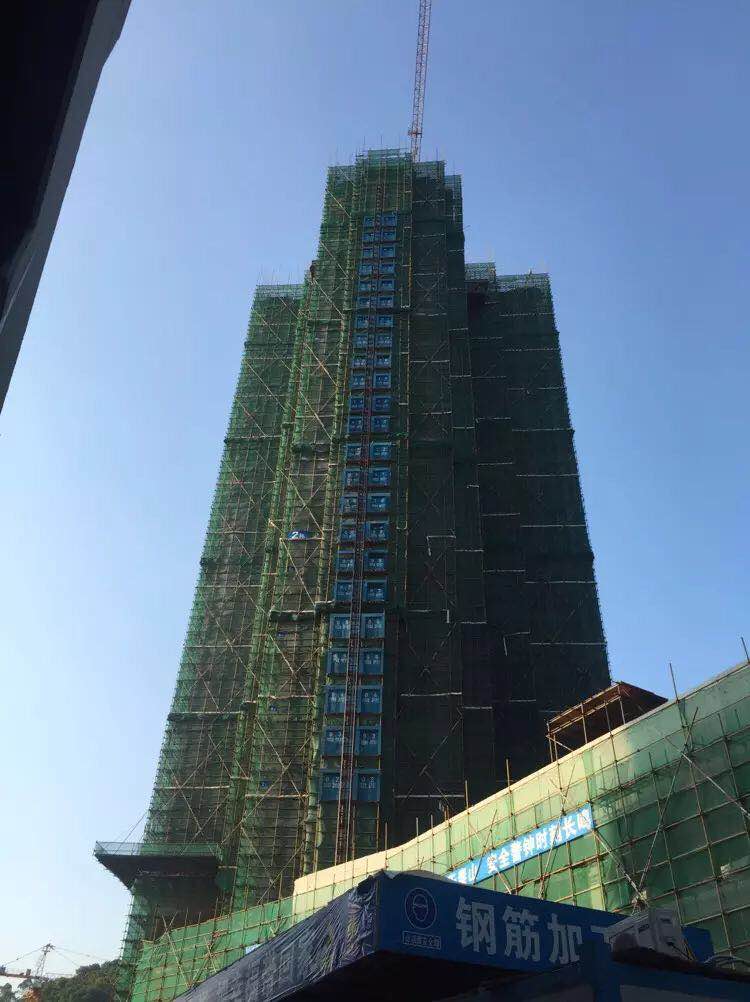 排柵管搭建工程