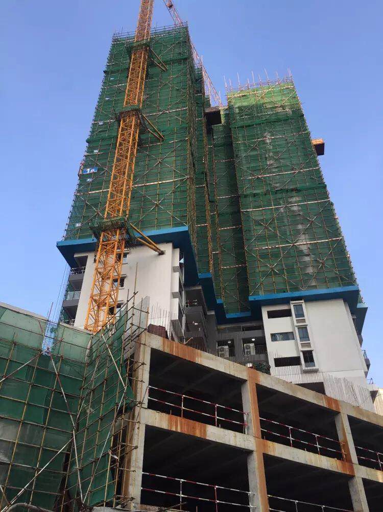 排柵管搭建工程