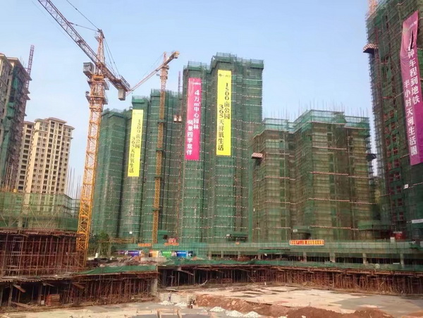 排柵管搭建工程