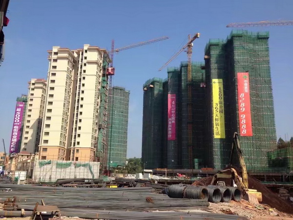 排柵管搭建工程