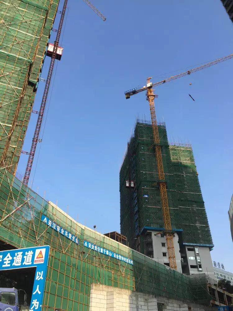 排柵管搭建工程