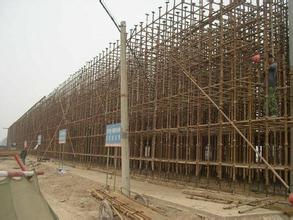 排柵鋼管搭建 (8)